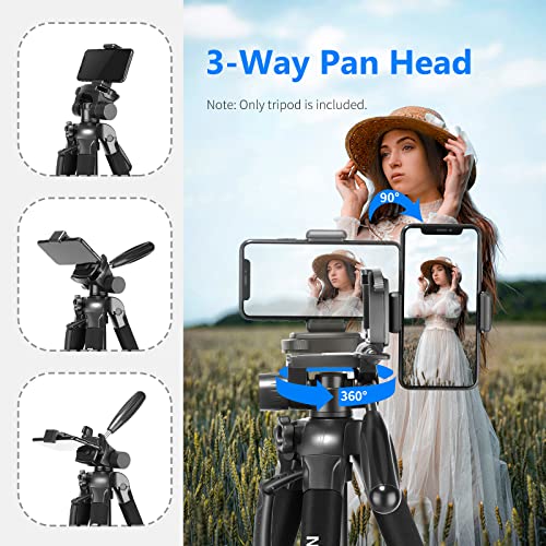 NEEWER Portable Aluminum Alloy Camera 2 in 1 Tripod Monopod Max. 70"/177cm with 3 Way Swivel Pan Head and Carrying Bag for DSLR, DV Video Camcorder (SAB264, Black) - style: SAB264/Black