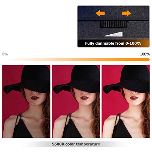 Cold Shoe Wind Muff Furry Windshield & LED Light Flash Attachment for Sony ZV-E10 II ZVE10 ZV-1F ZV1F ZV-1 II ZV1 ZV-E1 ZVE1 Vlog Cameras, Black Color