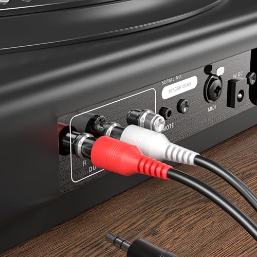USB 2.0 Audio Capture Card for Windows 10/8.1/8/7 and Mac OS 10.14-Audio Grabber for Vinyl Cassette Tapes to mp3 Converter