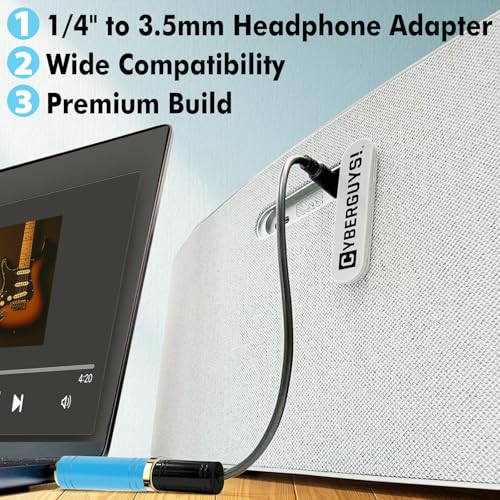 2-Pack 3.5mm to 1/4 Adapter | 1/8 Male to 1/4 Female Headphone Jack Adapter, Microphone Converter for Amp, Guitar, Piano, Mixing Console, Stereo, Laptop - style: 2 pair 3.5mm