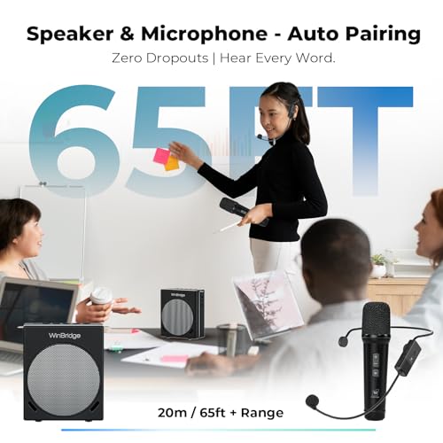 WinBridge Portable PA System 30W Voice Amplifier with Dual Wireless Mics