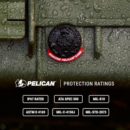 Pelican 1510 Case with Foam (Black) - color: Black, style: With Foam