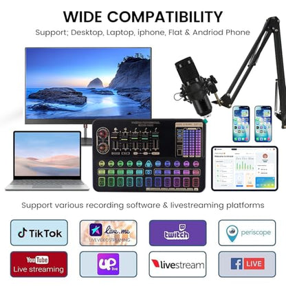 Podcast Equipment Bundle, V10XPRO Audio Mixer with Voice Changer | Professional BM-800 Podcast Microphone with Adjustable Stand, Audio Interface for Podcasting, Singing, Gaming YouTube Tiktok - color: Black