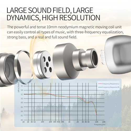 SoundMAGIC E80D Digital USB C Headphones - Type C Wired Earbuds with Microphone HiFi Stereo Earphones Powerful Bass Noise Isolating Compatible with Android Device, Gunmetal | Crystal call clarity, High-res decoder chip, Deep bass, Effective noise isolatio