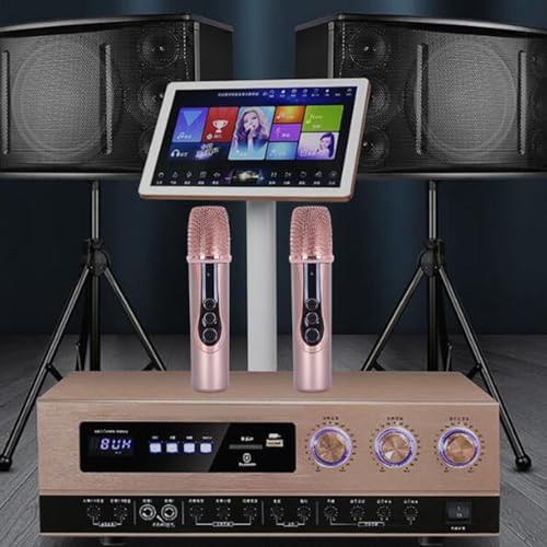 2.4G Wireless Microphone, ABS 15M Long Distance Transmission Whistling Suppression DSP Noise Reduction Chip 6.35mm 3.5mm Adapters Microphone for Outdoor Speaker (1 to 2) - size: 1 to 2