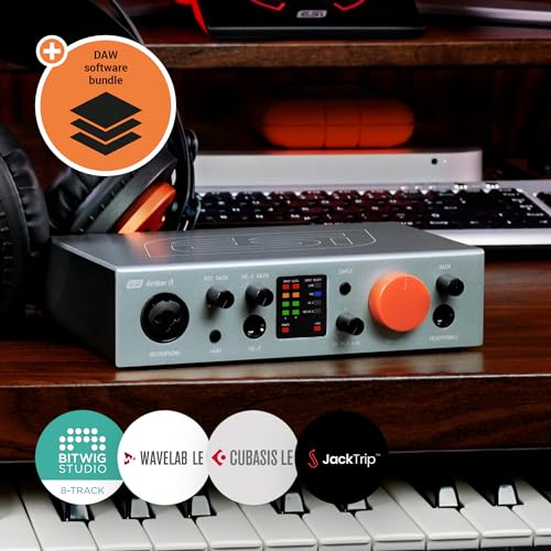 ESI Amber i1 USB Audio Interface with Audio Mixer for Guitarists, Vocalists & Producers - Studio-Quality Sound, 24-Bit/192kHz, RCA, 2-in/2-out with Separate Line Inputs, Professional Software Included - size: Amber i1 (1 Pre, 1 Line/2 Out)
