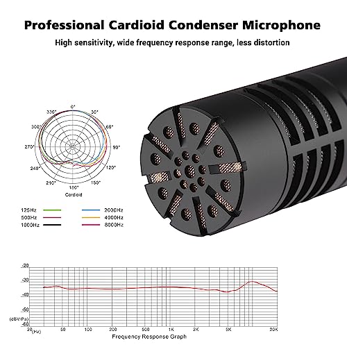 TAKSTAR CM-63 Cardioid Condenser Instrument Microphone with Clip | XLR Gold-Plated Diaphragm, 30Hz-20kHz Response, Low-Noise FET, Low-Cut & -10dB Pad Switch, Requires 48V Phantom Power.