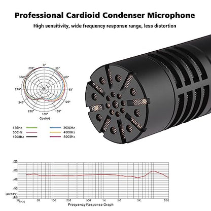 TAKSTAR CM-63 Cardioid Condenser Instrument Microphone with Clip | XLR Gold-Plated Diaphragm, 30Hz-20kHz Response, Low-Noise FET, Low-Cut & -10dB Pad Switch, Requires 48V Phantom Power.