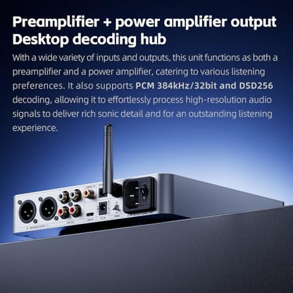 FiiO K13 R2R Desktop DAC & Headphone Amp, High-Fidelity 24Bit R2R DAC, Powerful 2400mW Output, LDAC Bluetooth Streaming, Dual Power Supply, 10-Band PEQ, Balanced XLR & RCA Audio Output (Silver) - color: Silver
