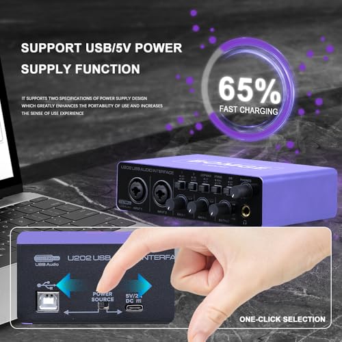 USB Audio Interface SOLO with XLR/48V Phantom Power,32Bit/192kHz High-Fidelity, for Studio Audio Mixer Interface for Guitarist, Vocalist, Podcaster, Producer, Plug and Play (U202P)