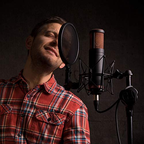 Antelope Audio Edge Duo Double Membrane Condenser Microphone - size: Edge Duo
