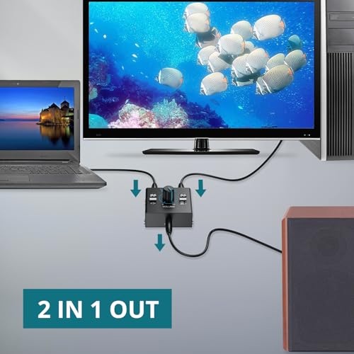 3.5mm Audio Switcher with Volume Control, 1 in 2 Out & 2 in 1 Out Bi-Directional Switcher, Mute Function,Easy Change Stereo Audio Switch Splitter 2 Ports Aux Selector for PC TV Phone Headphone - size: 2 Ports 3.5mm