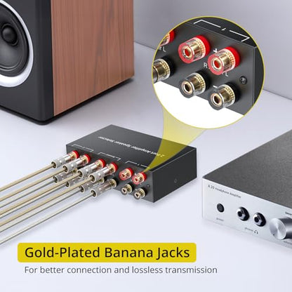 PROZOR 2(1)-in-1(2)-Out Amp Amplifier Speaker Switcher Selector | 2-Way Speaker switcher selector box with A/B Switch No External Power Easy A/B Gear Comparison, No Cable Swaps - size: Banana Plug 2-1/1-2