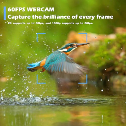 W4 2K Autofocus Webcam with Dual Mics & LED Light - color: Black-W4 2K Autofocus