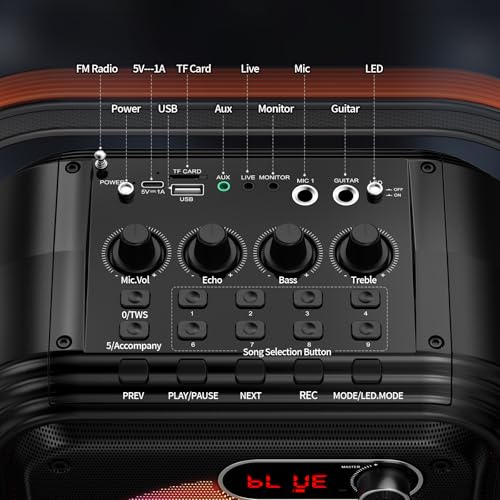 JYX Karaoke Machine with 2 Wireless Microphones, Portable Bluetooth Speaker PA System with Shoulder Strap, RGB Lights, Subwoofer Support TWS, USB, Radio, AUX, REC, Bass&Treble for Home Party/Adults - color: Glossy Black