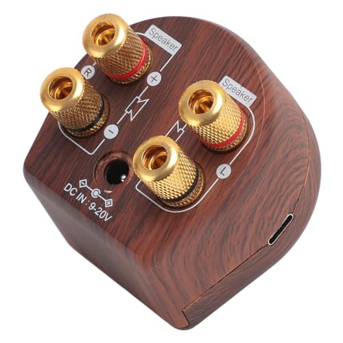 100W 5.0 Small Amplifier, HiFi Stereo Sound Digital Amp with AUX USB BT, for Mobile Phones Tablets Computers TVs Speakers