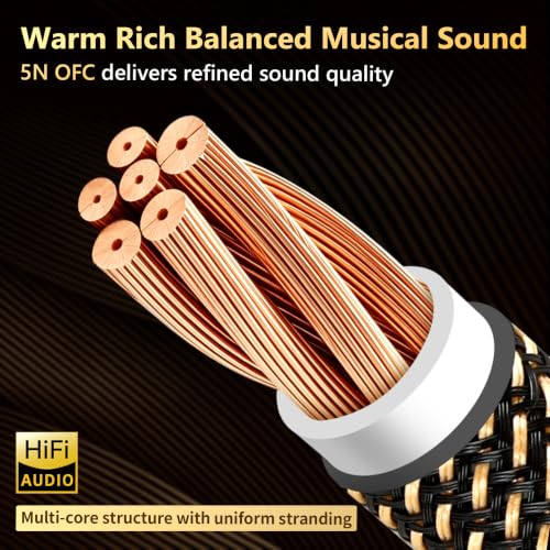 10 Gauge Speaker Wire,5N OFC Speaker Cable with Banana Plugs | Nylon Braided,24K 5μm Gold-Plated,Ferrite Core,Anti-Interference, HiFi Speaker Wire for Home Theater(9.84 ft/118.11 in) - size: 9.84 ft/118.11 in