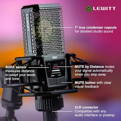 LEWITT RAY XLR Condenser Microphone With Auto