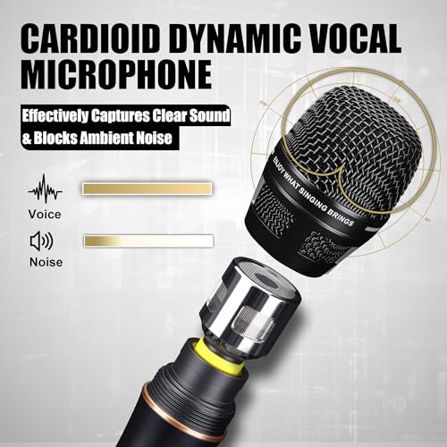 Professional Vocal Microphone for Singing, XLR Dynamic Wired Mic - color: A-Black