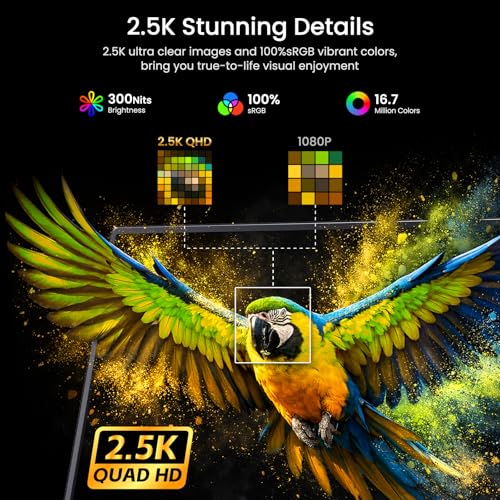 VILVA 17.3" QHD 165Hz USB-C HDMI Gaming Monitor | 17.3" QHD 165Hz IPS, slim metal+stand, USB-C/HDMI, for PC/PS5/Xbox/Switch, gaming. - color: Light Black