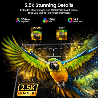 VILVA 17.3" QHD 165Hz USB-C HDMI Gaming Monitor | 17.3" QHD 165Hz IPS, slim metal+stand, USB-C/HDMI, for PC/PS5/Xbox/Switch, gaming. - color: Light Black