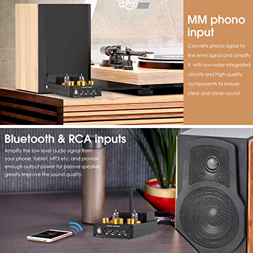 Douk Audio Tube Phono Amp: Bluetooth Receiver | 2-Channel Amplifier for MM Turntables | 160W×2 TDA7498E | Tone Control | for Desktop Vinyl HiFi Home Audio System (X1)