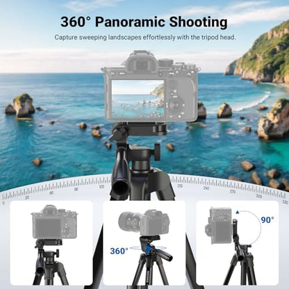 NEEWER Entry Level Version Tripod for Cell Phone & Camera, Metal Lightweight Portable Travel Stand with Cold Shoe Cellphone Holder Mount Compatible with iPhone for Video Recording Filming, TP53 - style: TP53