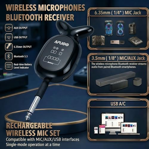 W68 Dual Handheld Wireless Microphone for Karaoke, Church, Party