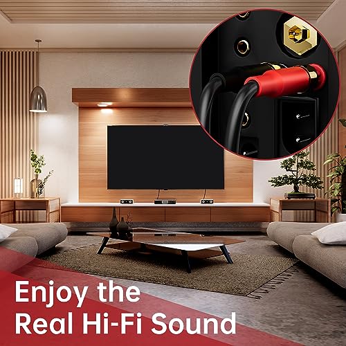 HiFind Speaker Cable Wire 25 Ft with Gold-Plated Banana Tip Plugs-UL CL3 Rated-Indoor&Outdoor&in Wall-Flexible-16 AWG Gauge Tinned Copper for Bi-Wire Bi-Amp HiFi Surround Sound-Black - size: 25FT