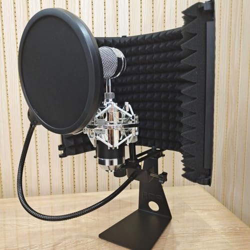 Double Layer Microphone Mic Shield with Swivel Mount for Recording