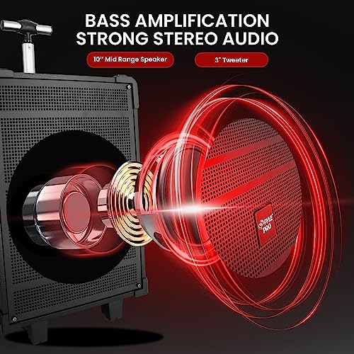 Pyle 10'' Portable Wireless Bluetooth Speaker System - Built-in Rechargeable Battery, Wireless Microphone, USB/Micro SD/FM - 600 Watt FM Radio with Digital LED Display, PWMA1099A,Black - size: 10 inch