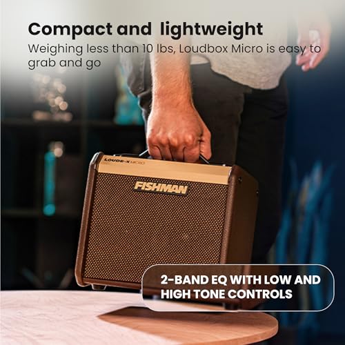 Fishman Loudbox Micro 40-Watt Acoustic Guitar Combo Amplifier Bundle with Gearlux XLR Cable, Instrument Cable, and Austin Bazaar Polishing Cloth - size: Micro 40W