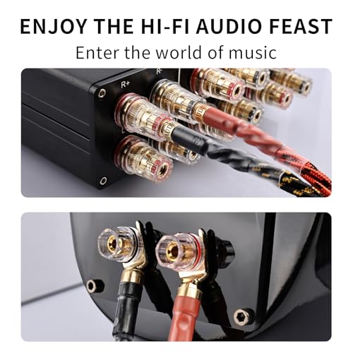 9 AWG 2-Pack Speaker Cable with 2 Banana Plugs to 4 Spades Per Cable | 99.99% OFC Core, 24K Gold-Plated Plugs, Ferrite Cores, Speaker Wire with Connectors for Amplifiers, Home Theater, 4.92ft/1.5m - size: 9.84ft/3m