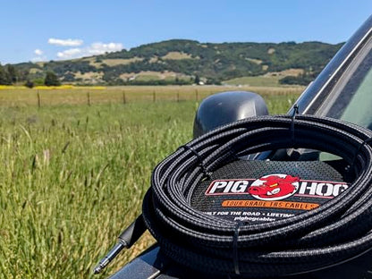 Pig Hog PTRS10 High Performance 1/4" TRS Instrument Cable, 10 Feet - size: 10 ft