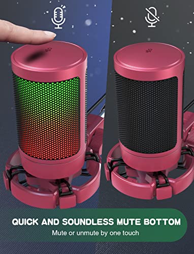 FIFINE Gaming USB Microphone for Desktop Set, Mic Pop Screen with Metal Mesh for YouTube Videos Bundle, PC Streaming Condenser Mic for Podcast, Recording, PS4/PS5 (A6R+U1)