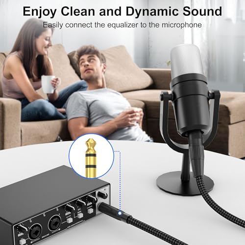 HOSONGIN XLR Male to 1/4 TRS Male Balanced Cable, 3 Feet - size: 3.3 Feet