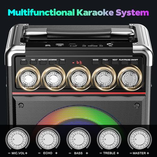 Karaoke Machine for Adults with Bass/Treble/Echo Adjustment, 100W PA System - color: Black