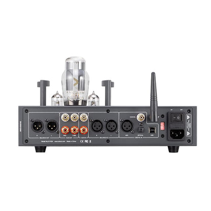 XDUOO TA-32 DAC & Tube Balance Headphone Amplifier DSD RHON BD34301
