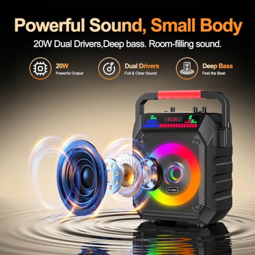 Karaoke Machine and 2 Wireless Microphones for Adults & Kids | Karaoke Speaker with RGB Lights, Supports Bluetooth/USB/TF/AUX Inputs, Portable for Home Parties & Outdoor Events