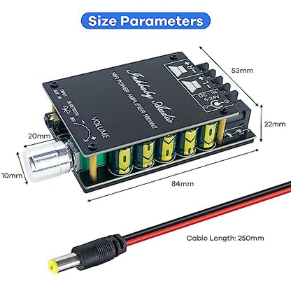 Hosyond 200W Bluetooth 5.0 Amplifier Board TPA3116D2 100W+100W Stereo Dual Channel Mini Amp Board Audio Receiver for Home DIY Speakers