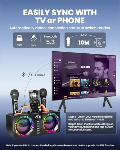 Karaoke Machine for Adults & Kids, Portable 80W Bluetooth Speaker - 2 Wireless Microphones, Echo Adjust, Support USB/AUX, for Outdoor/Indoor Gathering Party Gifts - size: 218