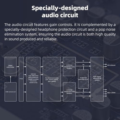 FIIO K11 Compact Desktop R2R Architecture DAC and Headphone Amplifier (Black)