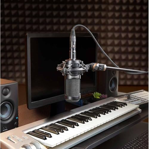 Audio-Technica AT2035 Cardioid Condenser Microphone for Content Creators, Streamers, Podcasters and Musicians Bundled with XLR Cable + Pop Filter + Desktop Mic Stand (4 Items) - style: w/ Desktop Mic Stand