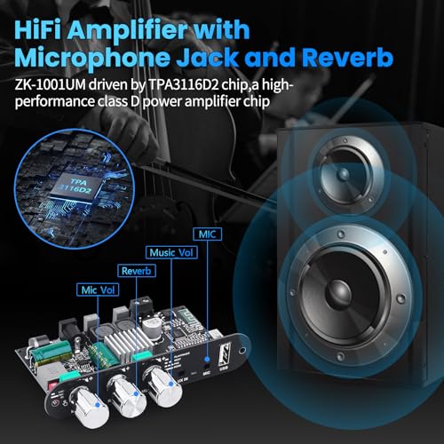 Bluetooth5.3 Mini Amplifier Board 100W Mono Power Amp with TWS Box | Karaoke Audio Amps Module with Boost for Home/Outdoor DIY Speakers, DC 9-24V, MIC and Reverb, Supports BT/USB/AUX Inputs - color: Silver ZK-1001UM