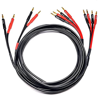 CNCESS Bi-Wire Banana Plug Splitter Speaker Cable, 6 ft, 2-Pack - size: 6 feet