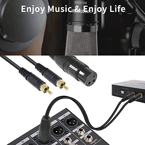 QIANRENON XLR Female to Dual RCA Male Stereo Splitter Cable 3-Pin XLR to 2 RCA Mono Y Splitter Conversion Extension Audio Cable,for Mixer Amplifier KTV Equipment Audio,1m/3.2ft