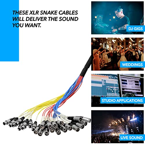 Seismic Audio SACB-24x8x100 24-Channel XLR Low Profile Circuit Board 100-Feet Snake Cable - size: 100 Foot - 24 Send x 8 Return