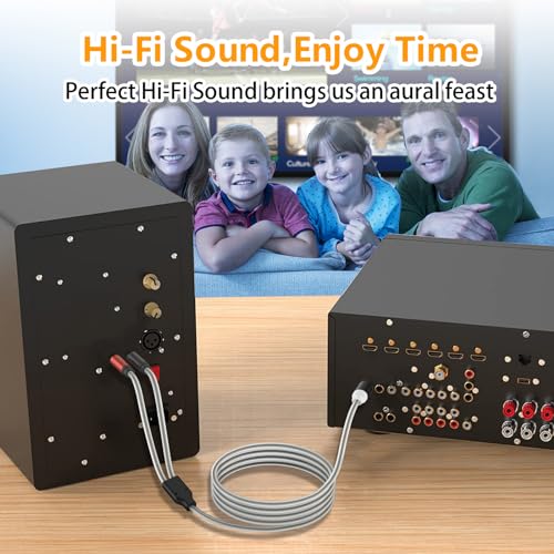 HOSONGIN RCA to Banana Plug Speaker Cable 3.3 Feet 2 Pack