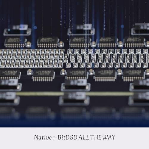 Gustard DAC-R26II 26-Bit R2R DAC, Discrete Streamer Decoder with DSD2048, USB/Opt/Coax/IIS/AES/LAN Input, Fully Balanced Digital-Analog Converter, 10MHz Clock, Home Audio Network Streaming DAC, Black