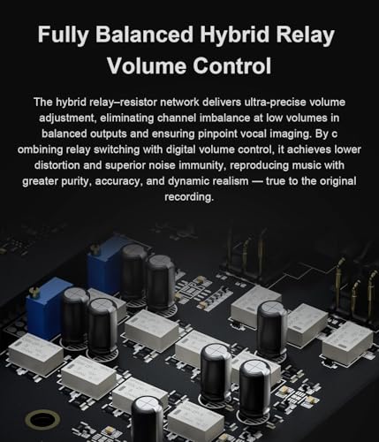 TOPPING DX9 Discrete Fully Balanced 1-Bit DAC & Headphone Amplifier | 131dB DNR | Six-Channel NFCA Module | LDAC Bluetooth 5.1 | Ten-Band PEQ | Hybrid Relay Volume Control (Black) - color: Black